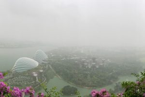 Making the Most of Singapore in the Rain 39 Foggy view of a garden with modern domed structures and lush greenery, partially obscured by mist. Pink flowers are visible in the foreground.