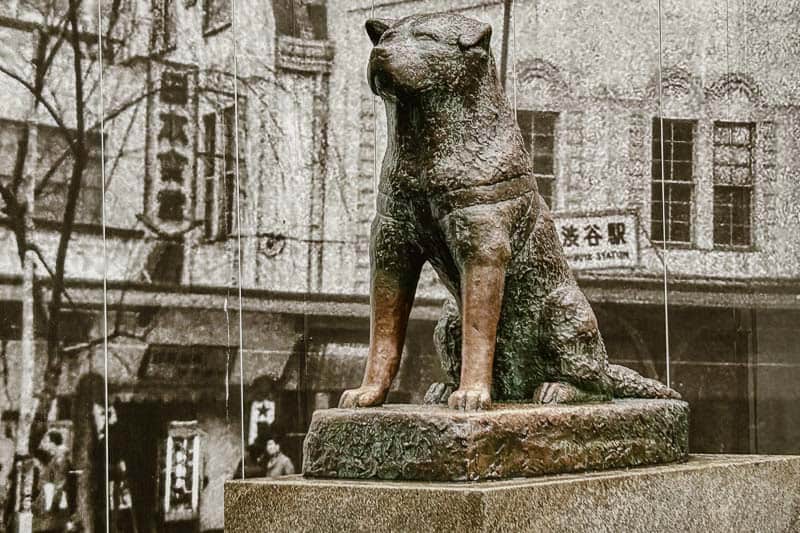 Tokyo Free Walking Tours: 3 Tours I Tried and Recommend 12 Bronze statue of a sitting dog on a pedestal, with a vintage black-and-white city scene as the background.