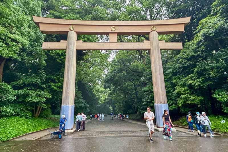 Tokyo Free Walking Tours: 3 Tours I Tried and Recommend 13 People walk under a large wooden torii gate surrounded by lush green trees on a paved pathway.