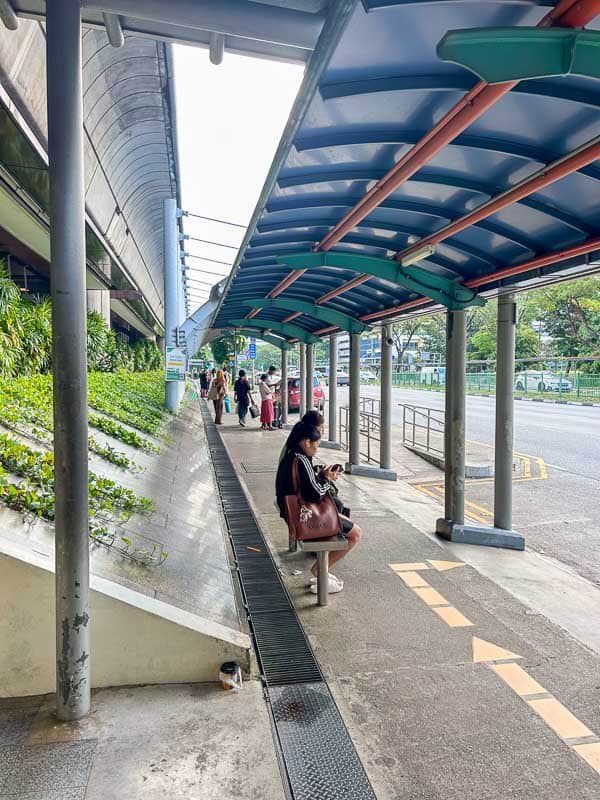 Which Mandai Wildlife Park Should You Visit? I Tried All Five 45 People are waiting at a covered outdoor bus stop, some sitting and some standing, with a road and greenery visible in the background.