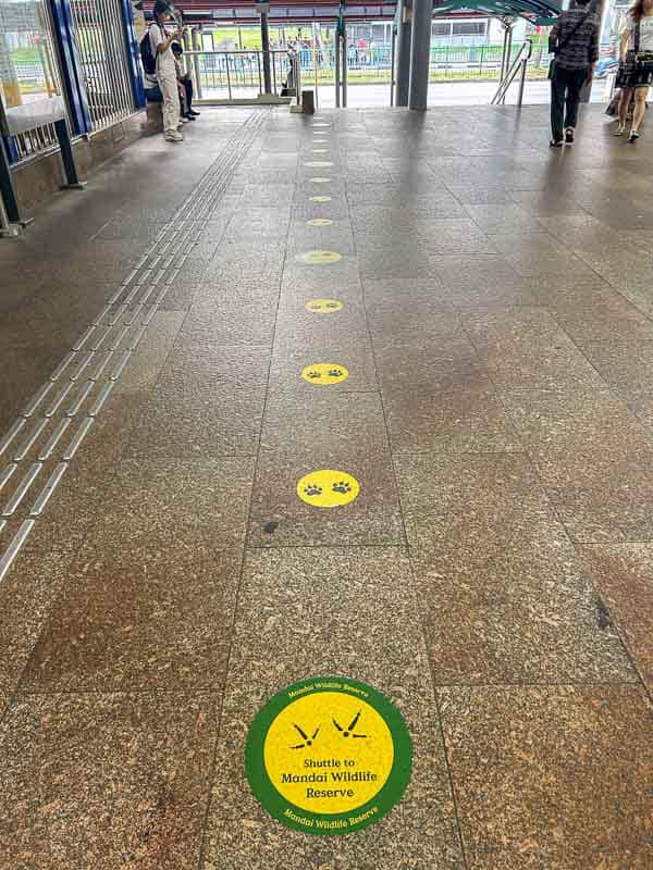 Which Mandai Wildlife Park Should You Visit? I Tried All Five 44 Yellow paw print markers on a station floor lead to a round green and yellow sign that reads "Shuttle to Mandai Wildlife Reserve." Several people stand in the background.