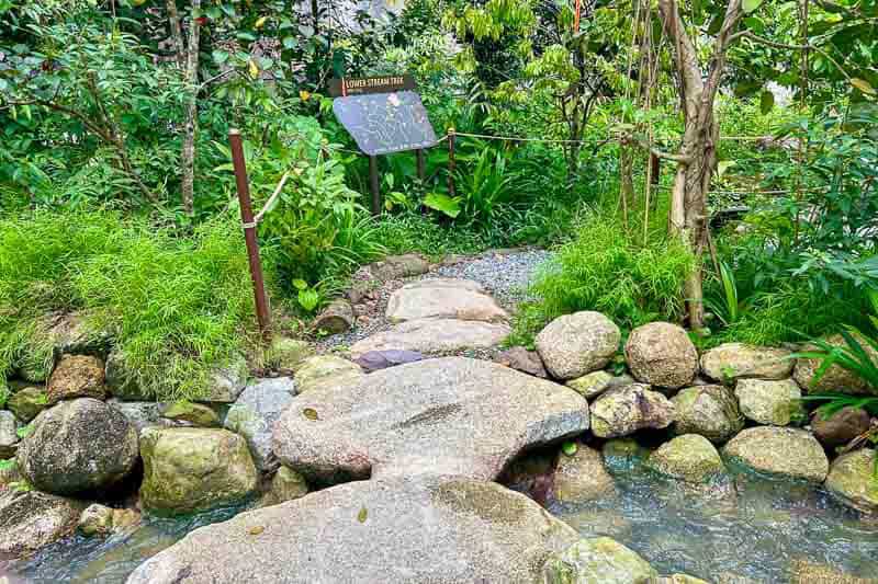 Which Mandai Wildlife Park Should You Visit? I Tried All Five 36 Large stepping stones cross a shallow stream, leading to a garden path surrounded by lush greenery and a sign in the background.