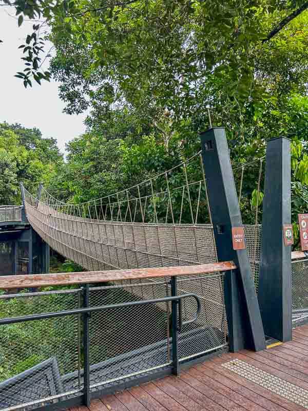 Which Mandai Wildlife Park Should You Visit? I Tried All Five 29 A suspension bridge with metal railings stretches over a forested area, connecting two platforms amid dense green trees.