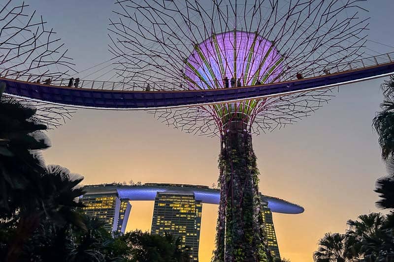 Supertree Grove at Gardens by the Bay in Singapore at dusk, with Marina Bay Sands hotel in the background and people walking on the elevated walkway—a must-see when planning how many days in Singapore you’ll need to explore its iconic sights.