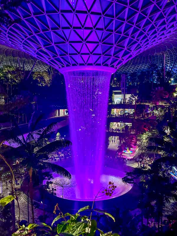 A large indoor waterfall, known as the Jewel at Changi, illuminated with purple lights and surrounded by lush plants and trees under a geometric glass dome ceiling at night.