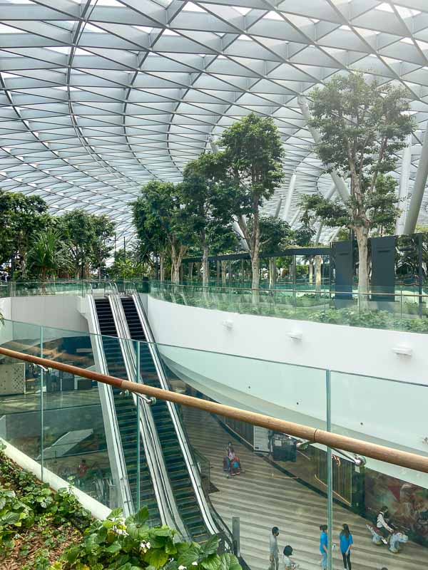 Indoor garden at Jewel at Changi, featuring large trees beneath a stunning glass ceiling, with an escalator leading to a lower level where people are walking and relaxing.