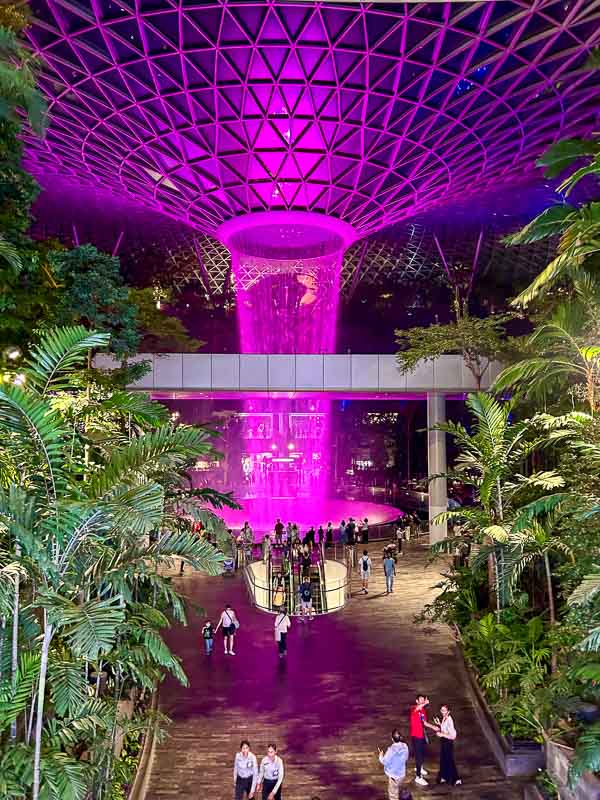 The Jewel at Changi features an indoor waterfall illuminated with pink lights, surrounded by lush greenery and visitors, all beneath a stunning geometric glass dome ceiling.