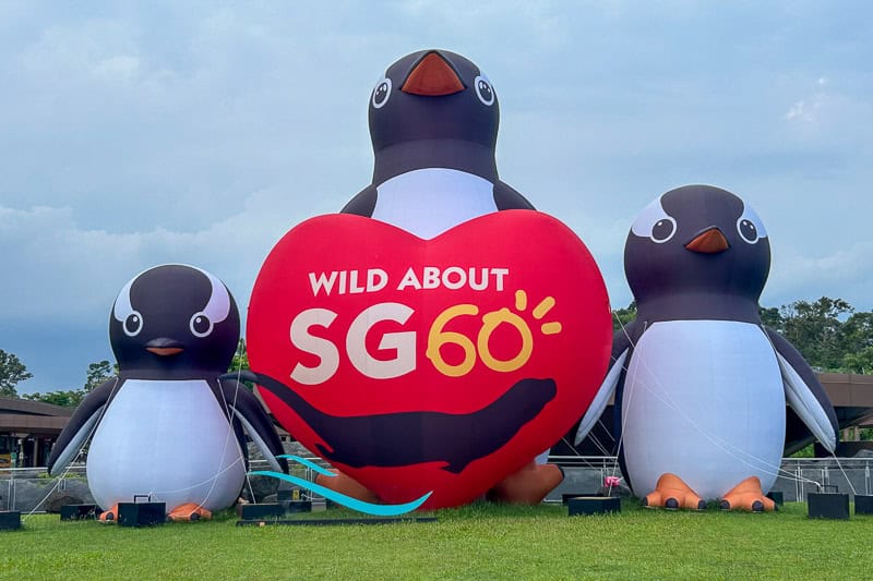 Three large inflatable penguins stand on grass, with the center one holding a red heart-shaped sign that reads "WILD ABOUT SG60." A building and trees are visible in the background, inviting all to Visit Singapore and join the celebration.