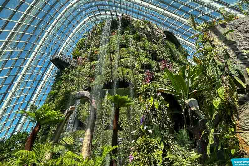 Why Singapore Belongs on Your Bucket List 7 Indoor garden in Singapore featuring a tall, plant-covered waterfall structure beneath a large glass dome, surrounded by abundant tropical foliage.