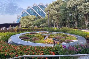 Things to Do in Singapore: A First-Timer’s Guide 23 A large outdoor floral clock is surrounded by colorful flowers and greenery, with a modern glass-domed building and trees in the background—a must-see among the things to do in Singapore.