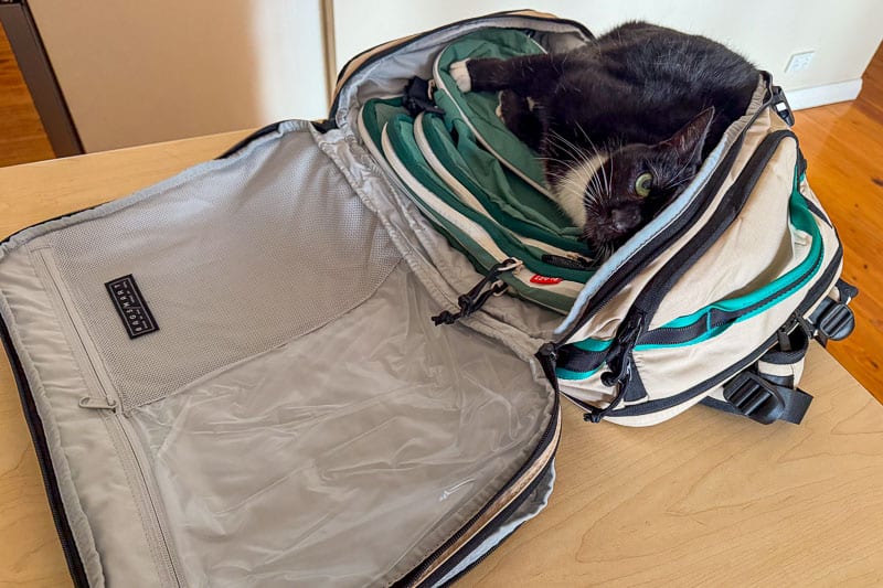 BAGSMART BLAST Series Review: Tested on My Travels 11 A black and white cat lies curled up inside the open main compartment of a beige and green Blast 40L Rucksack on a wooden surface. The rucksack flap is fully open, revealing the spacious interior.