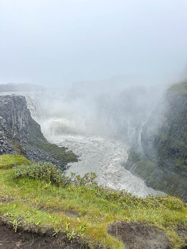 5 Must-See Waterfalls in Iceland 23 A large, powerful waterfall flows between rocky cliffs under a cloudy, misty sky. Green grass and low plants cover the ground in the foreground.