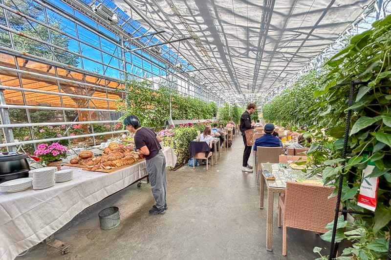 10 Days in Iceland: Our Real Itinerary 11 People dine at tables inside a bright greenhouse with plants on both sides, sharing stories from their 10 days in Iceland; a buffet table with bread and dishes is set up on the left.