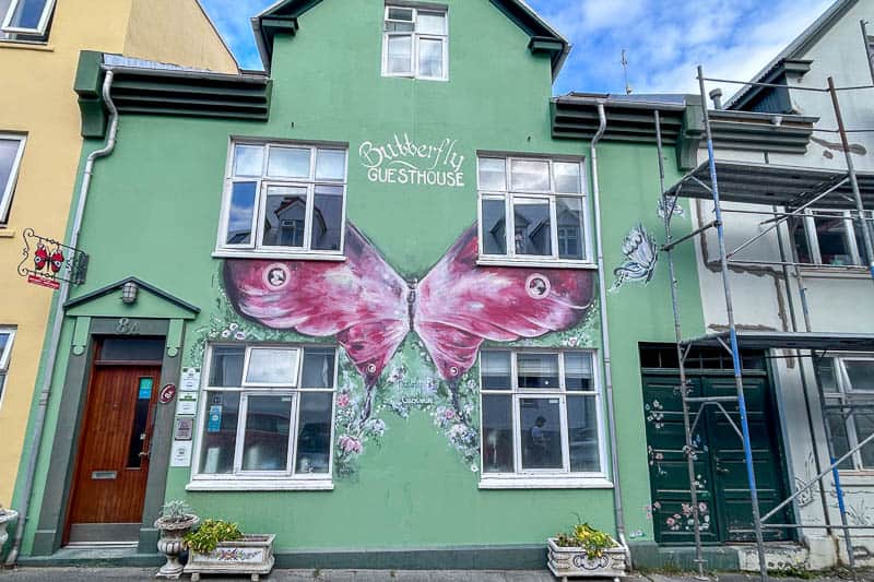 Street Art in Iceland 28 A green building with "Butterfly Guesthouse" written above large, pink butterfly wings painted around two windows. There is a brown door on the left, potted plants, and some construction scaffolding on the right.