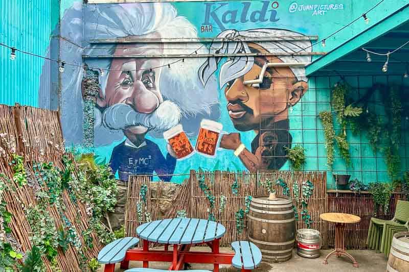 Street Art in Iceland 31 A mural on an outdoor wall features cartoon-style portraits of Albert Einstein and a man with a modern hairstyle, each holding a jar. There are picnic tables, a barrel, and plants in the foreground.