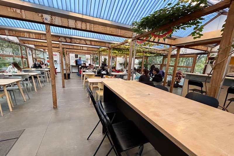 Iceland Campgrounds 16 Spacious, well-lit communal workspace with wooden tables, chairs, plants, and several people sitting in groups or alone, working or conversing.
