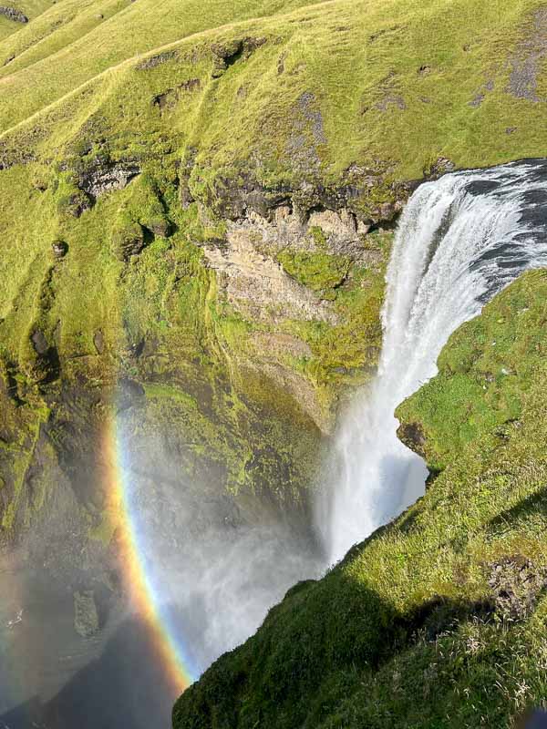 5 Must-See Waterfalls in Iceland 16 A waterfall cascades over a mossy cliff into a pool below, with a rainbow appearing in the mist at the base. The surrounding landscape is lush and green.