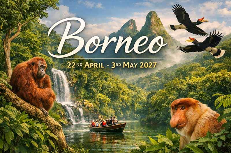 A tour boat with people floats on a river in a lush jungle with waterfalls, misty mountains, an orangutan, a proboscis monkey, and two flying hornbills. The text reads “Borneo, 22 April – 3 May 2027.”.