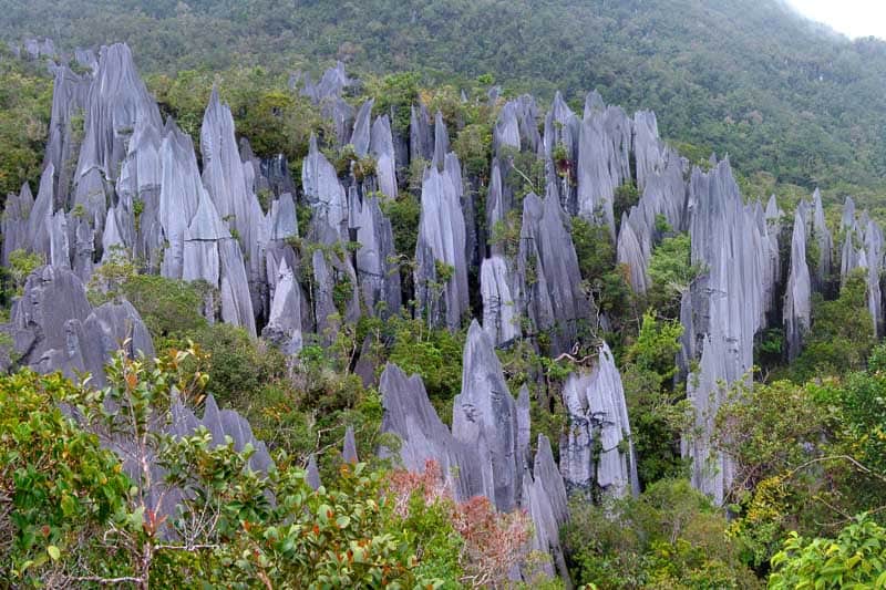 Borneo Group Tour Itinerary (12 Days) - Hosted Small Group Travel 4 Tall, jagged limestone formations rise from dense green forest in a mountainous area. The grey stone pinnacles contrast with the surrounding vegetation under a cloudy sky.