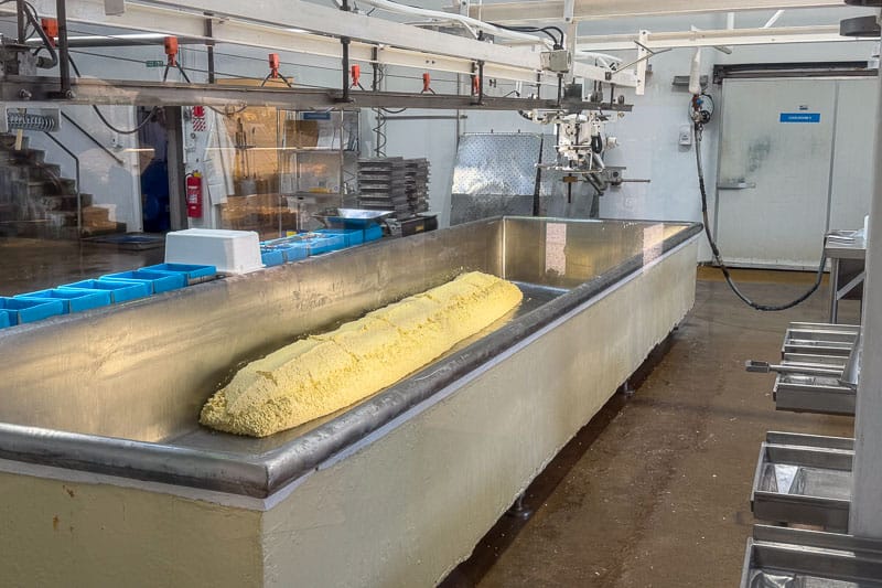 Best Things to do in Akaroa, New Zealand 15 Visiting Barry's Bay Cheese. A large block of yellow butter sits in a stainless steel trough inside a dairy processing facility. Blue moulds, metal trays, and various equipment are visible around the clean, industrial setting.