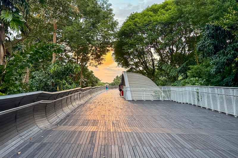 32 Fun Things to do in Singapore on a Budget 20 A wide wooden pedestrian bridge with curved railings runs through lush green trees at sunset. A few people walk in the distance towards a dome-shaped structure.