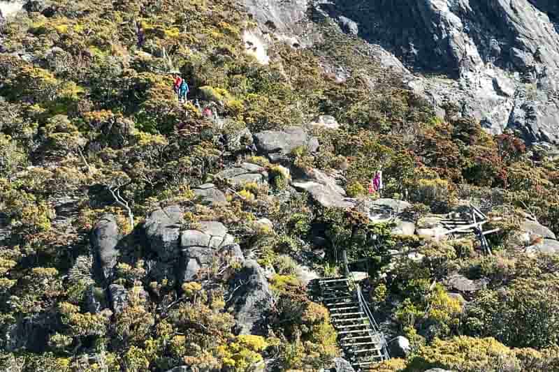 Climbing Mount Kinabalu 16 Walkers ascend a rocky mountain path with wooden steps surrounded by bushes.