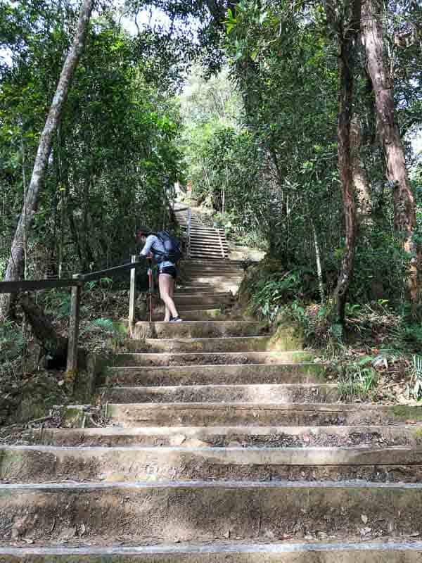 Climbing Mount Kinabalu 5 A hiker with a rucksack walks up a long set of concrete steps through a dense forest.